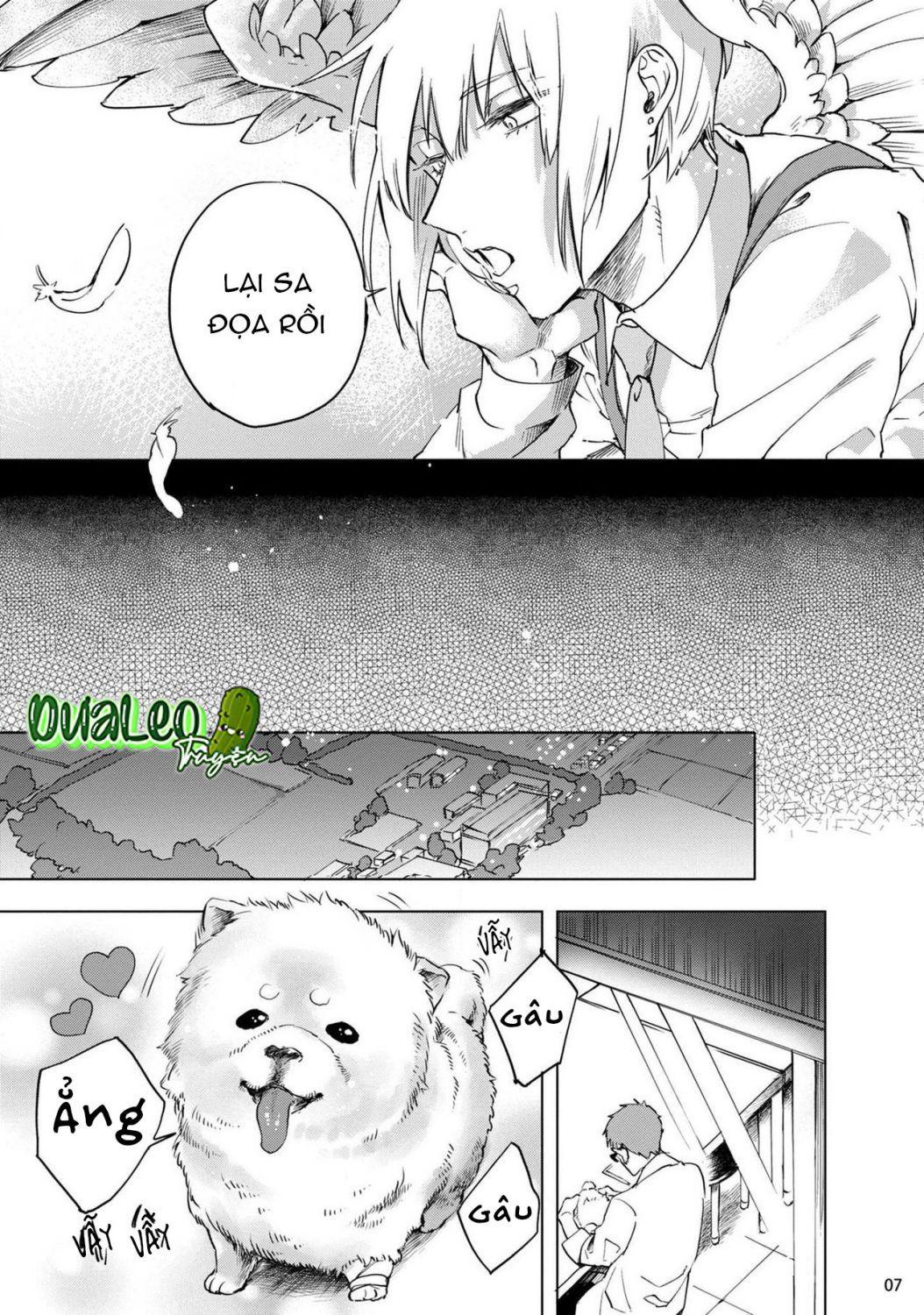 Trang 8