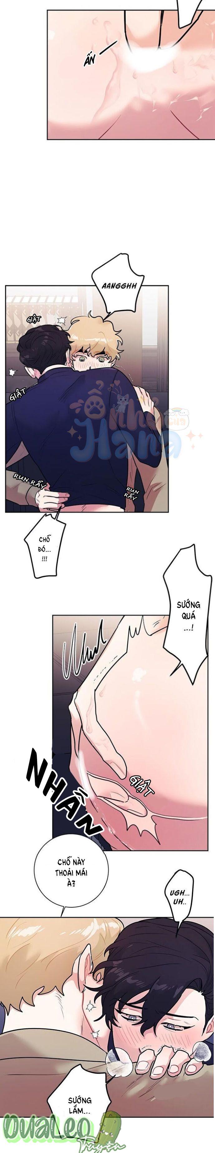 Trang 17