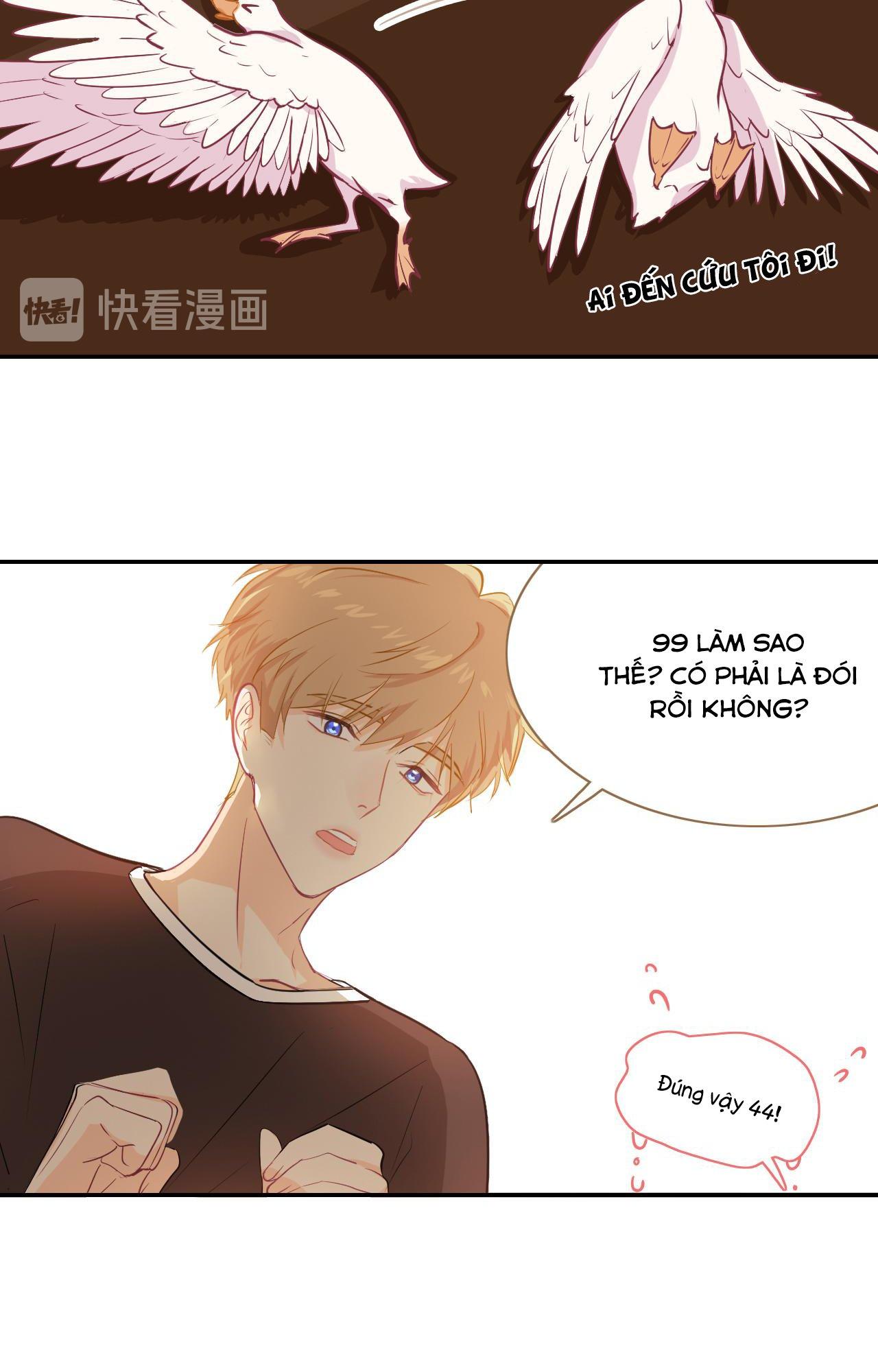 Trang 17