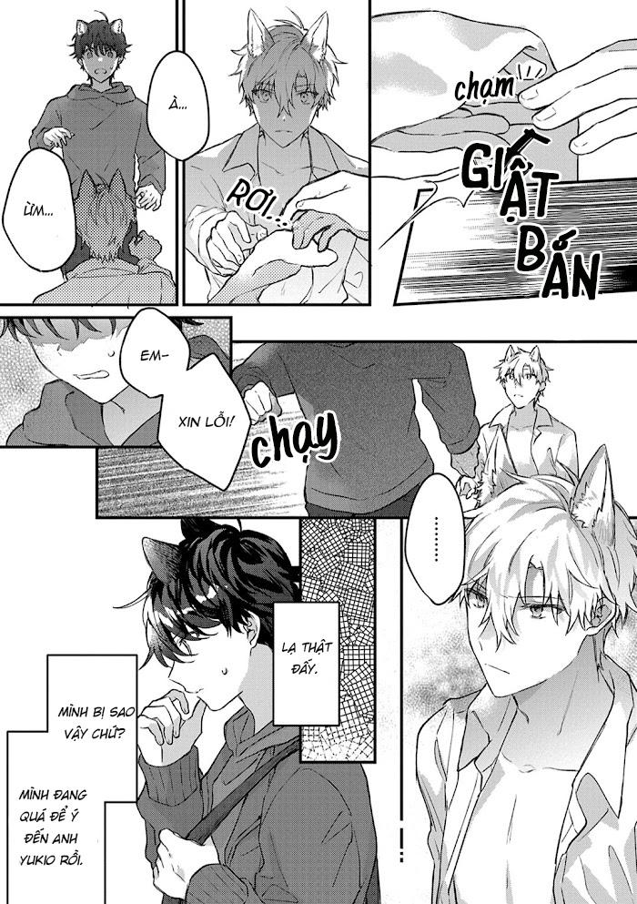 Trang 21