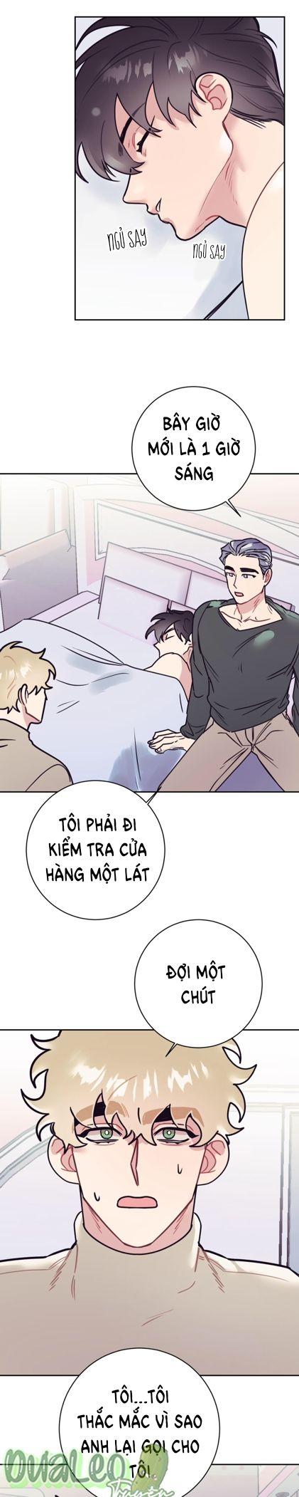 Trang 19