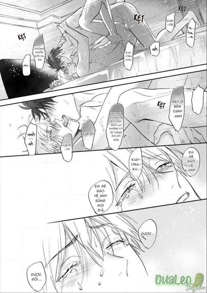 Trang 31