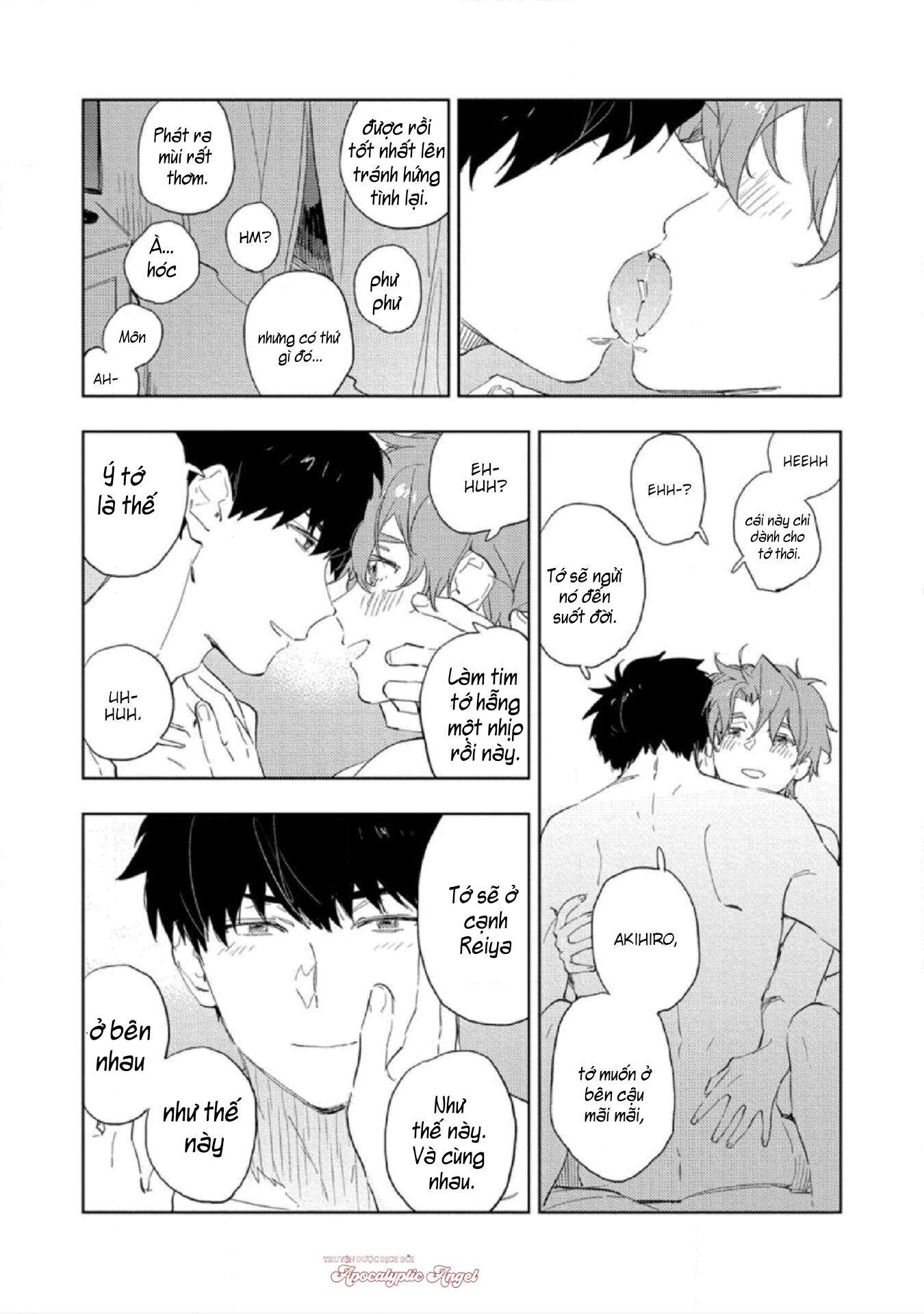 Trang 24