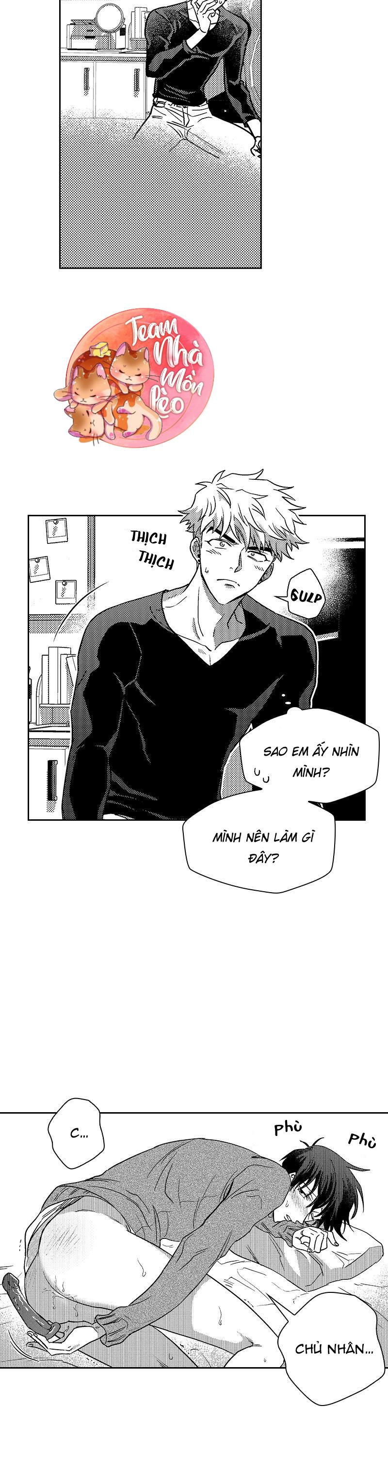 Trang 21