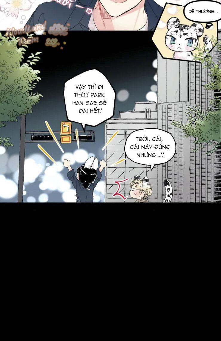 Trang 24