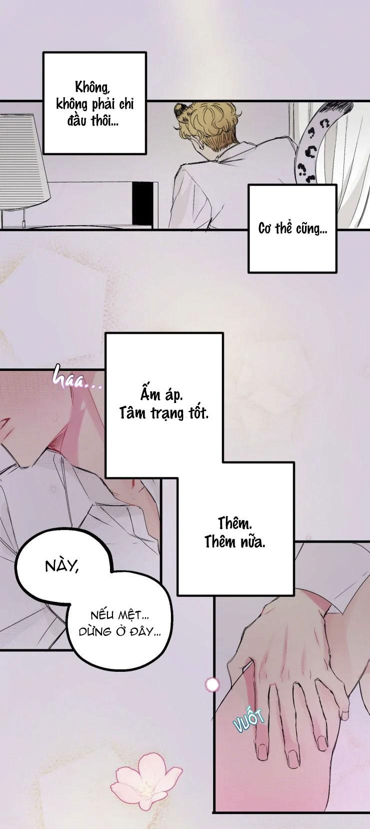Trang 27