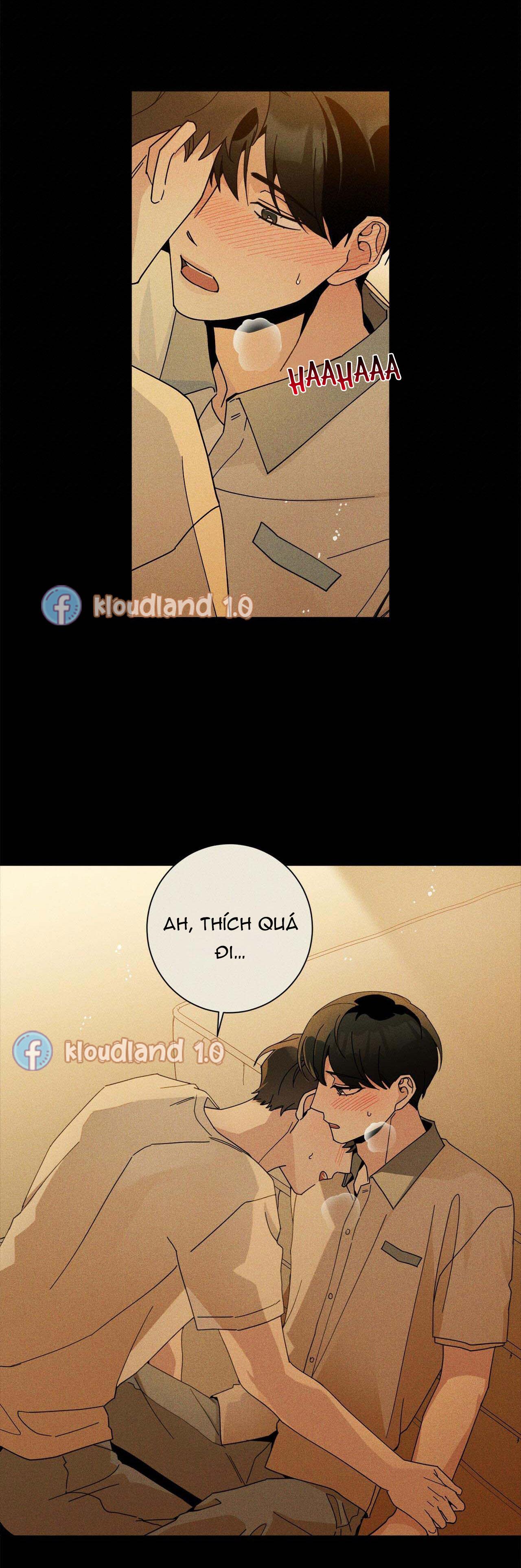 Trang 15