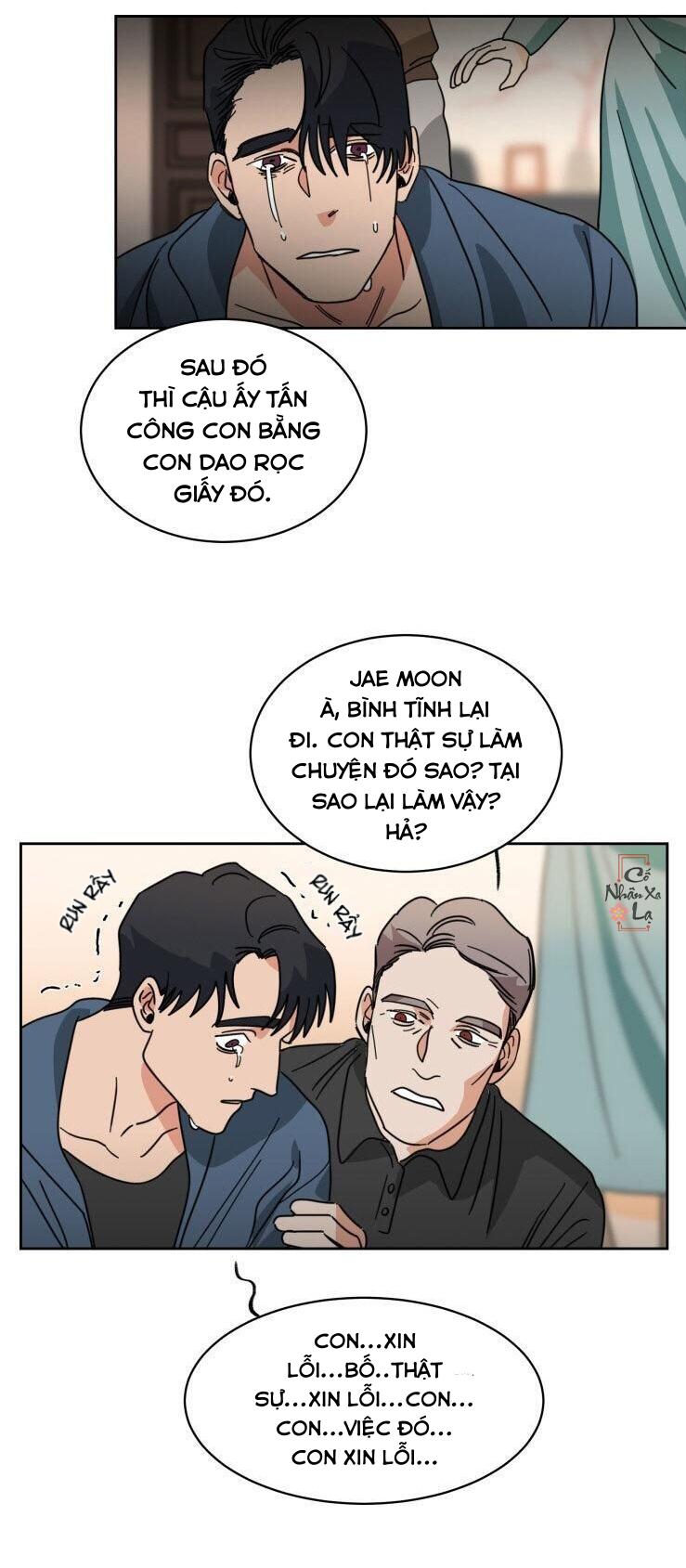 Trang 17