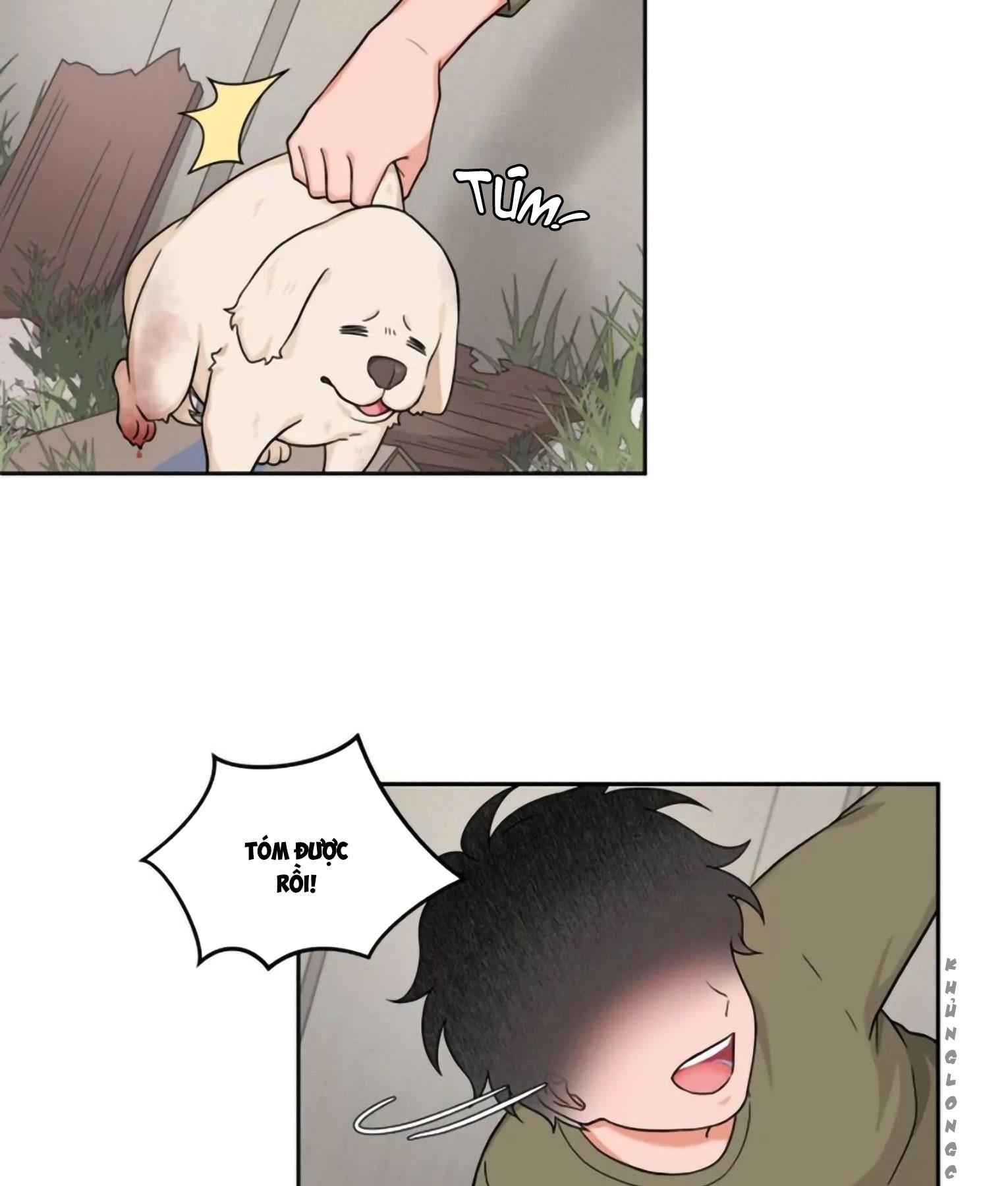 Trang 18