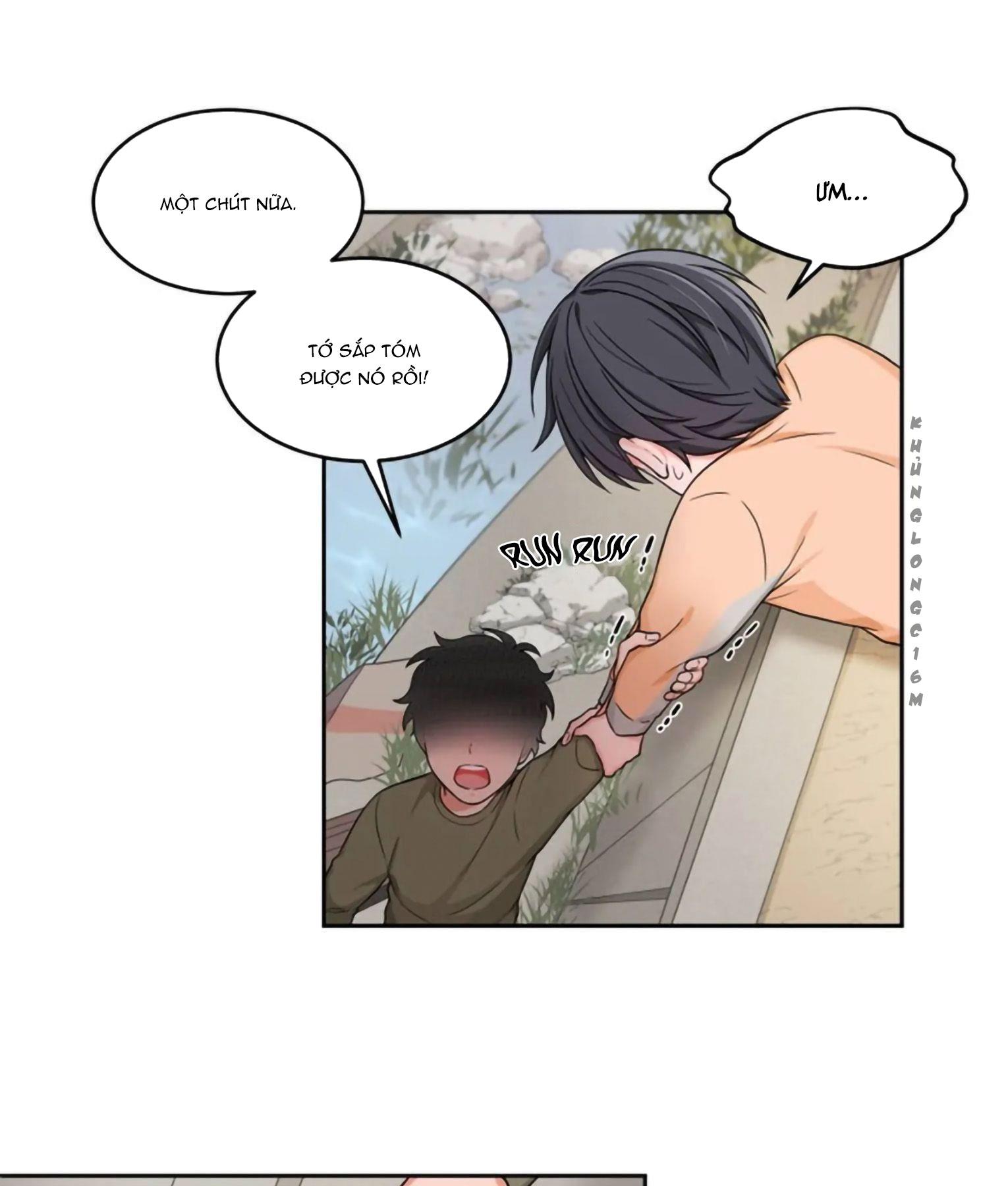 Trang 17