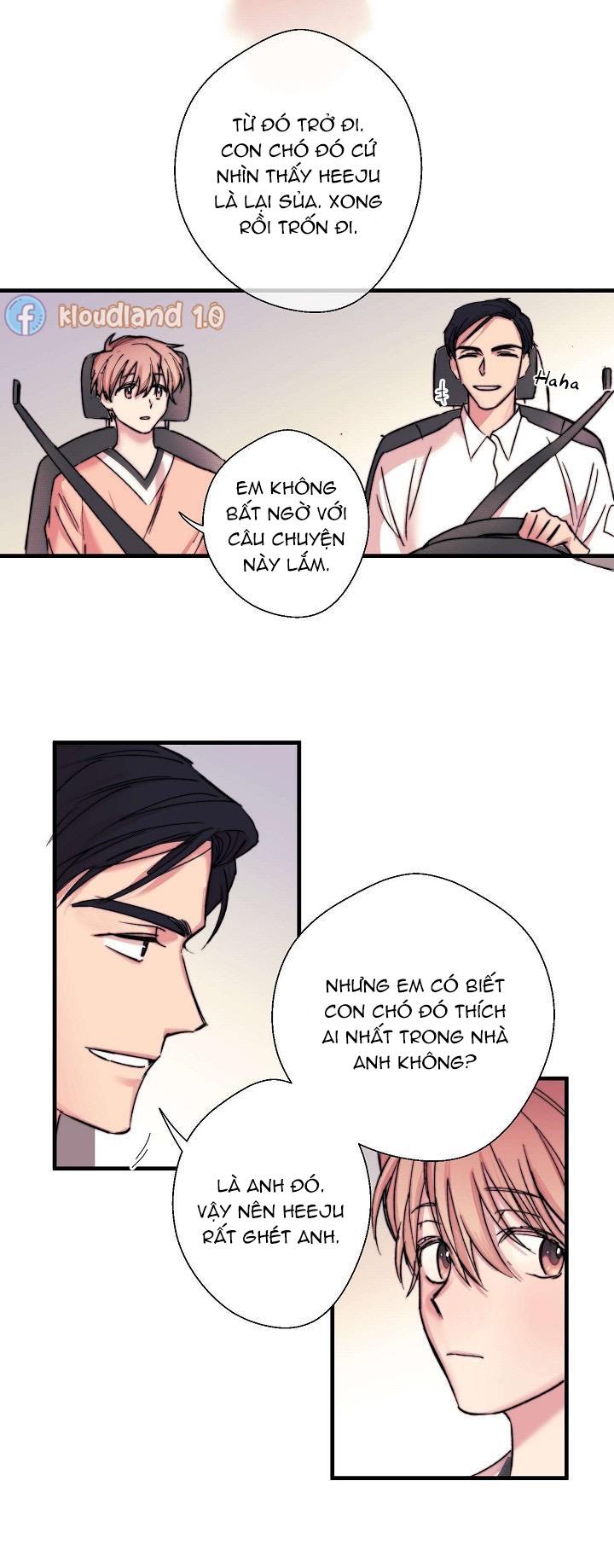 Trang 20