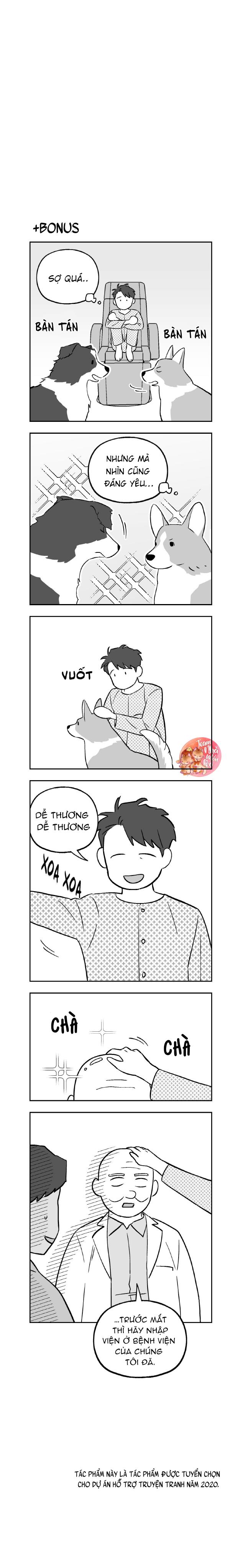 Trang 12