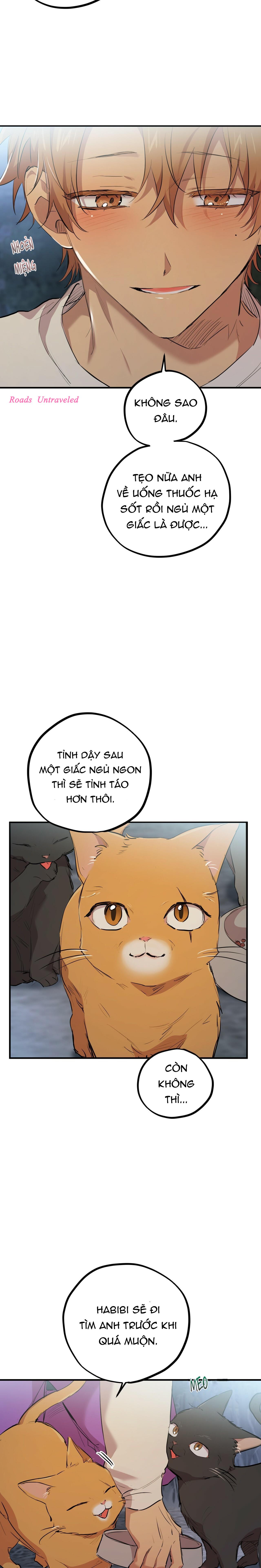 Trang 26