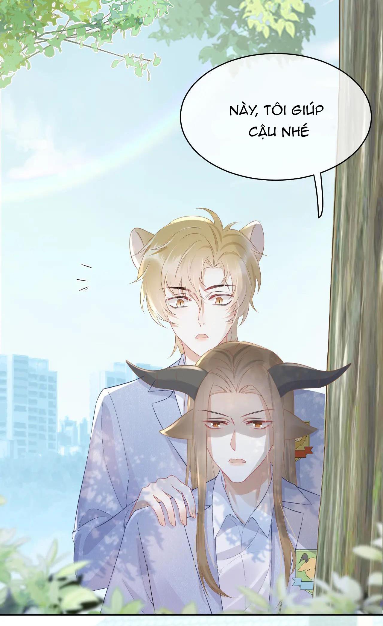 Trang 21