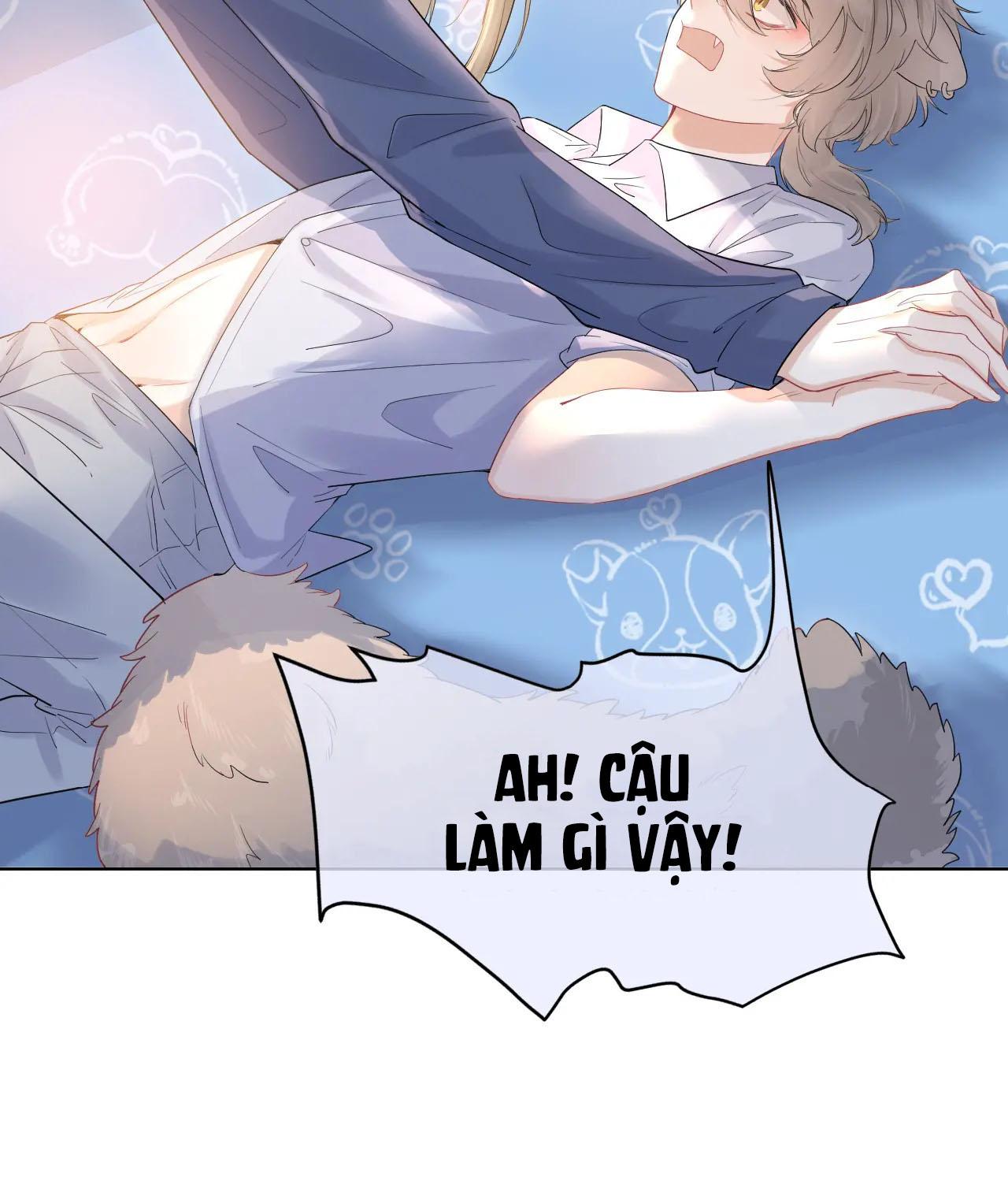 Trang 25