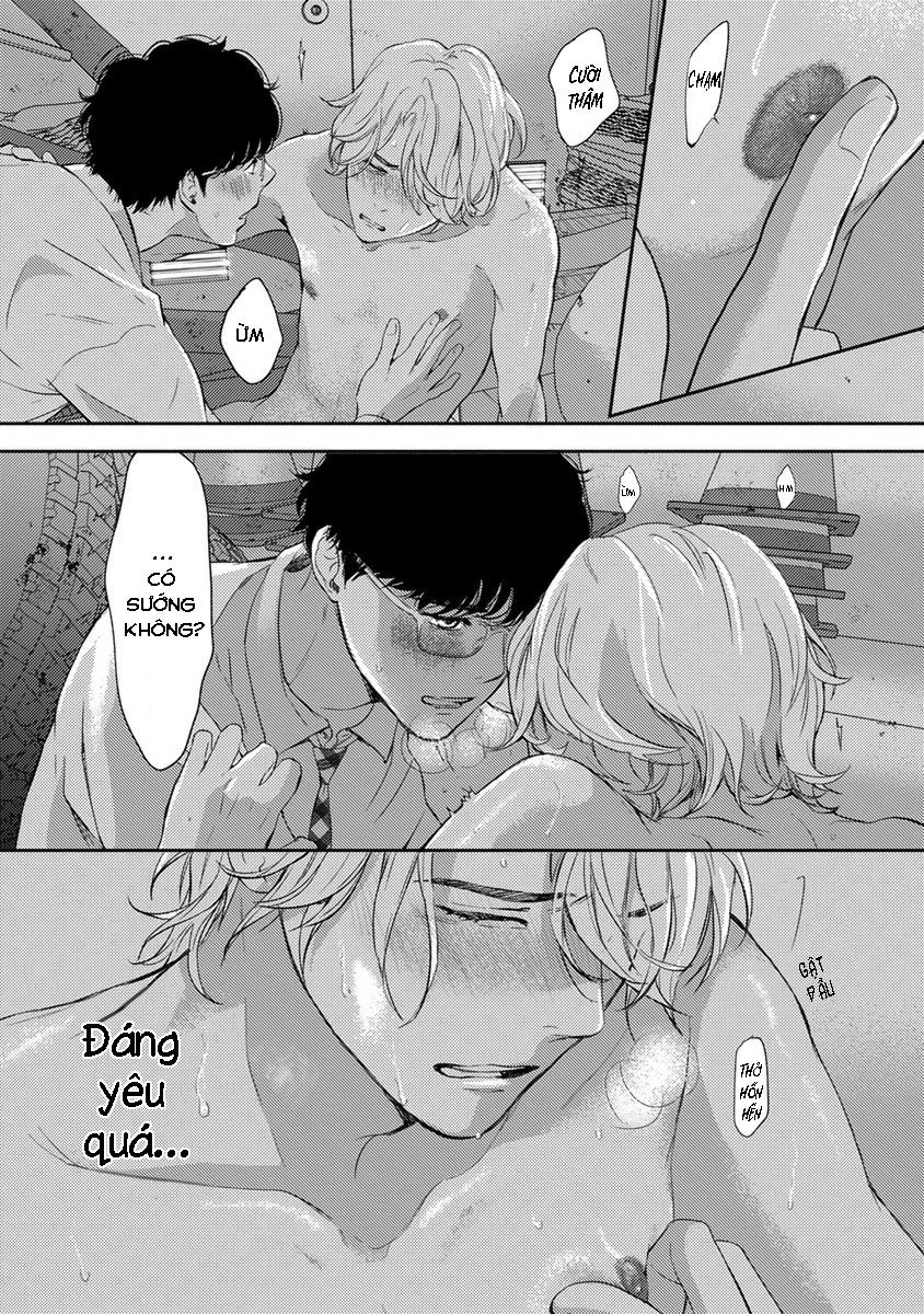 Trang 19