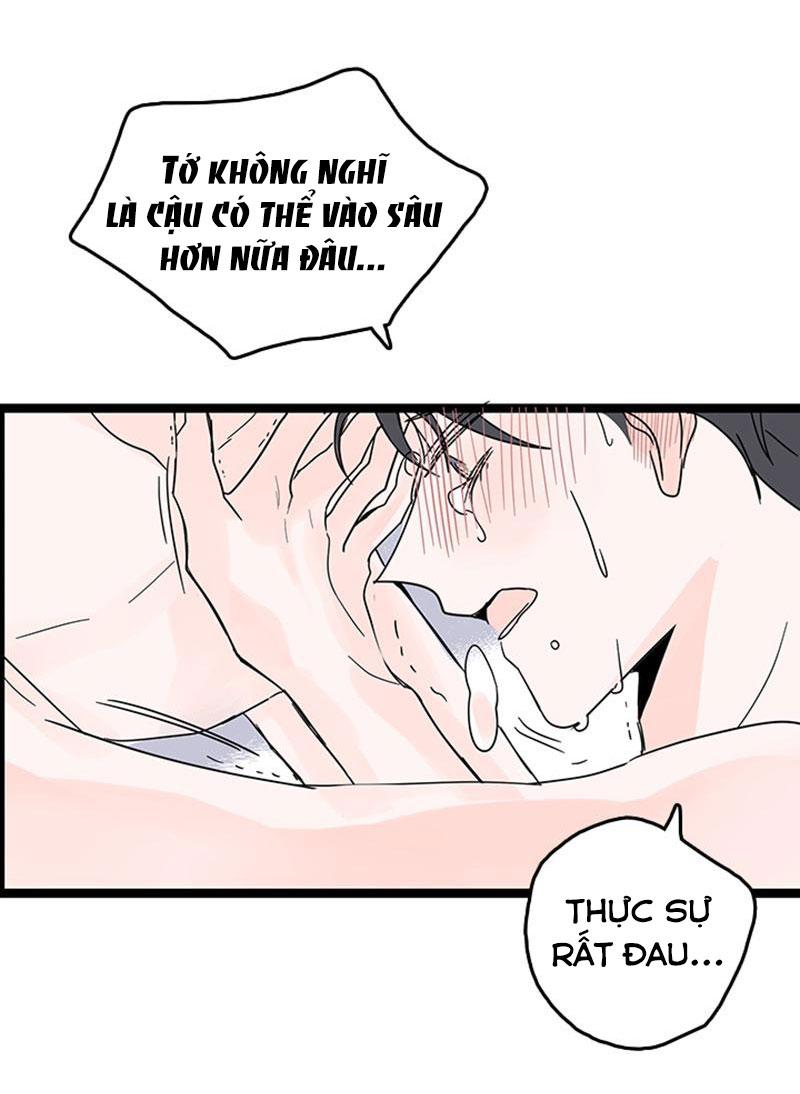 Trang 14