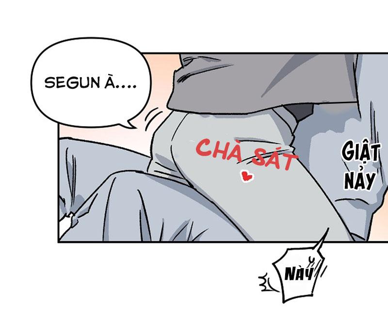 Trang 24
