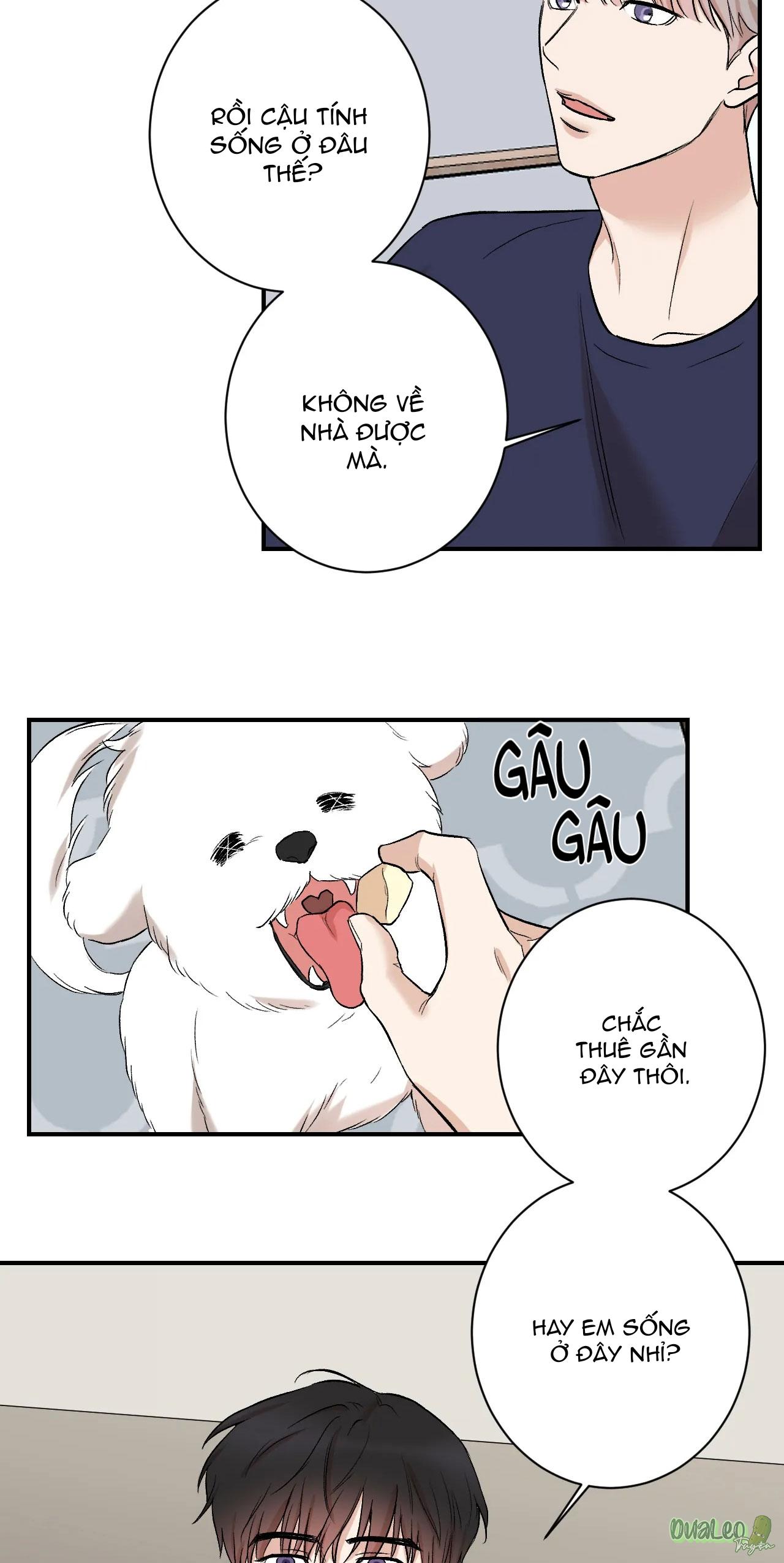 Trang 41