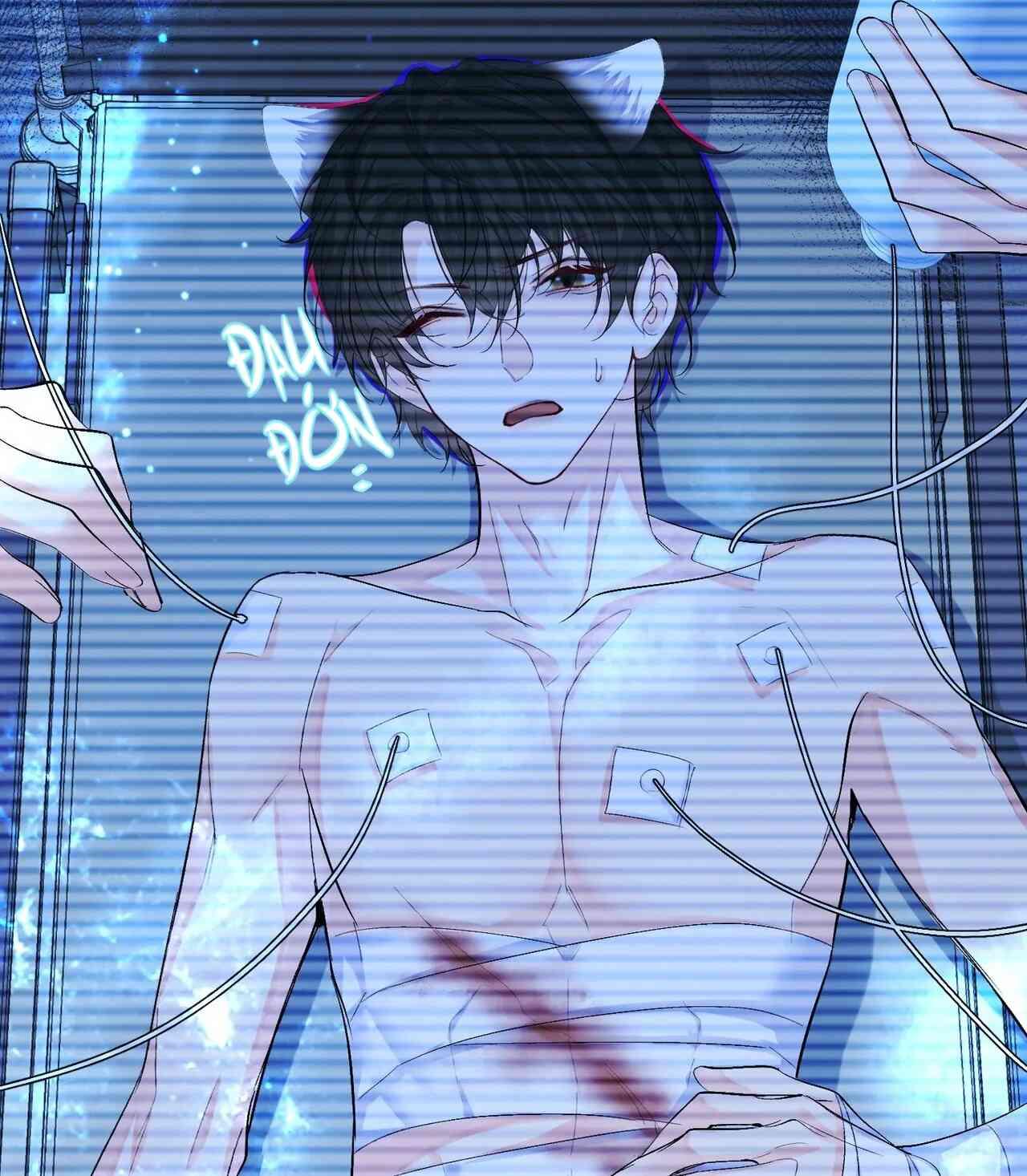 Trang 17