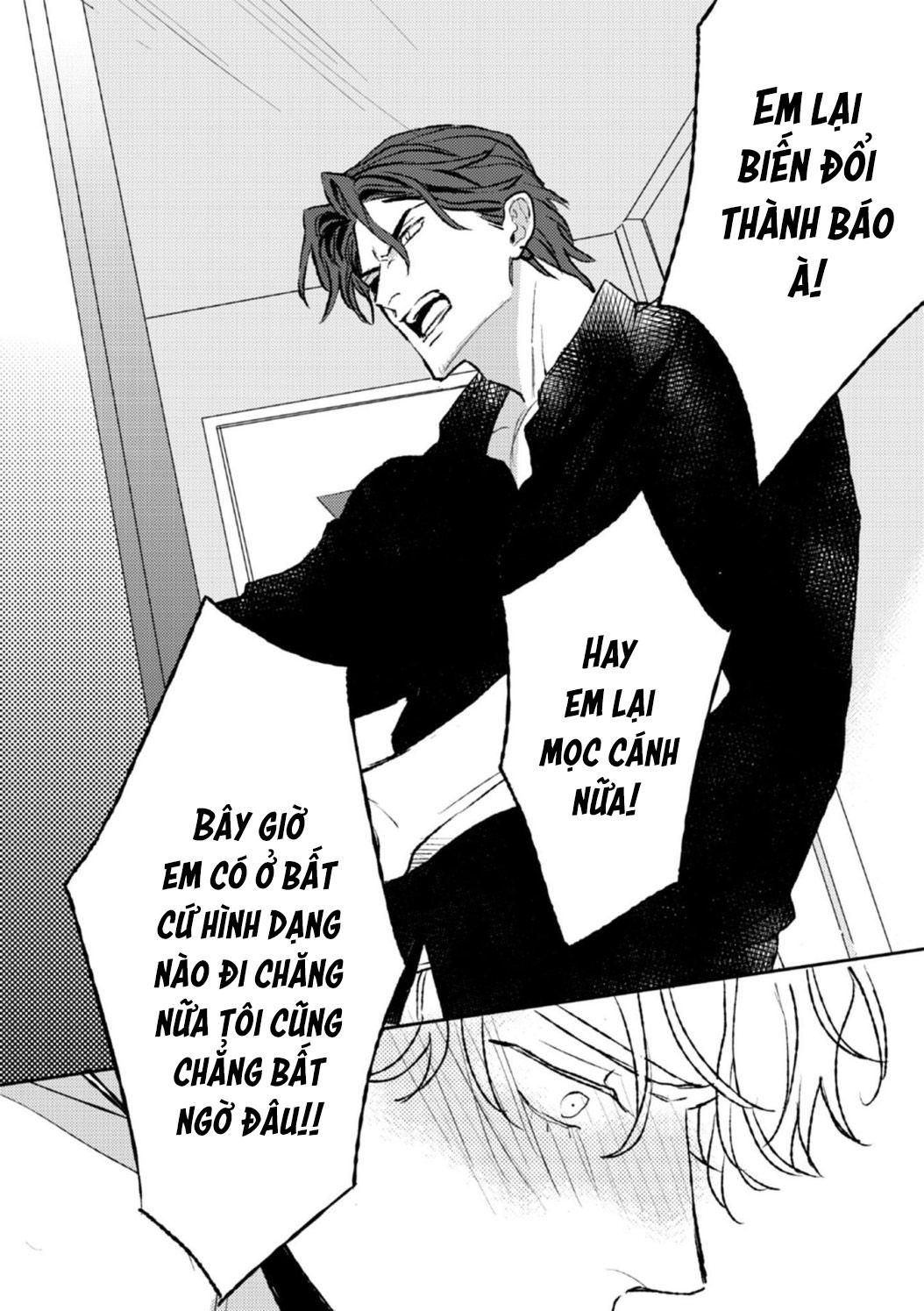 Trang 25