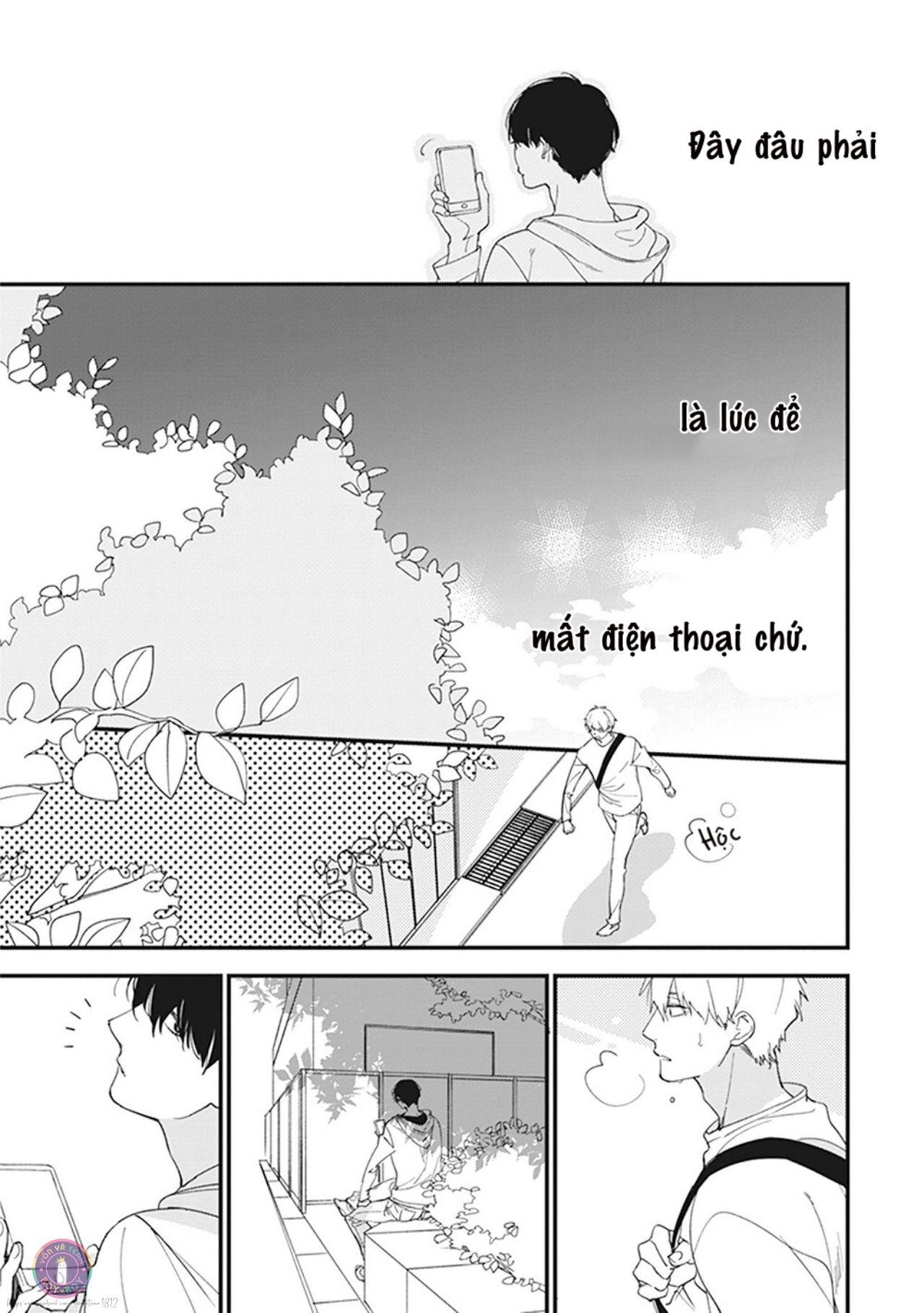 Trang 17