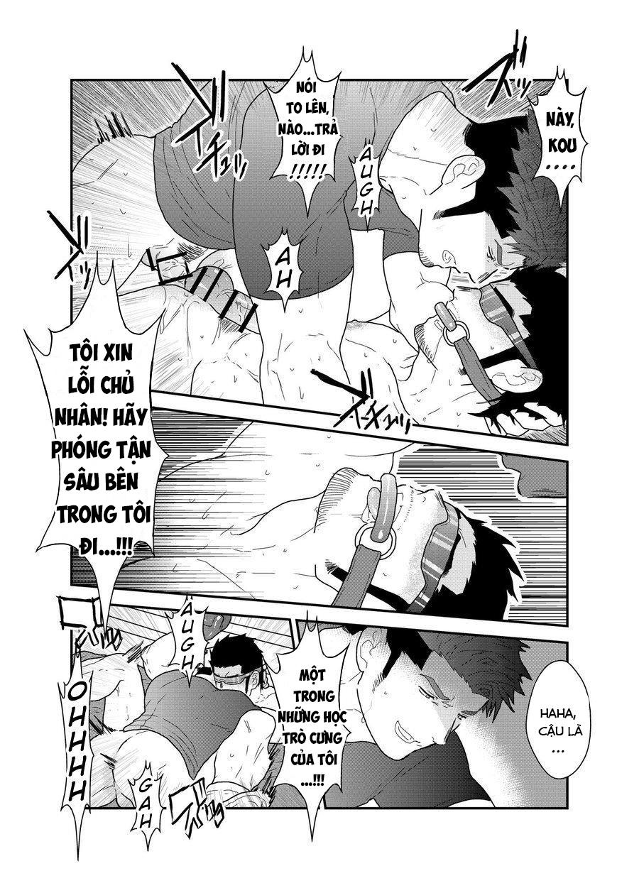 Trang 29