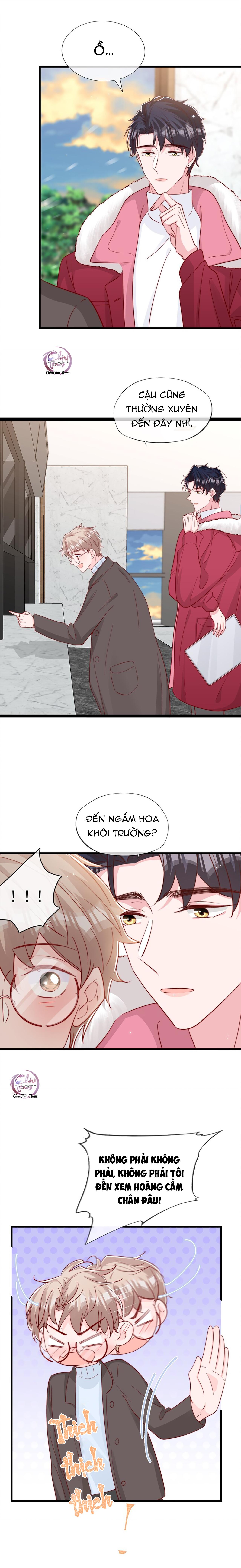 Trang 15