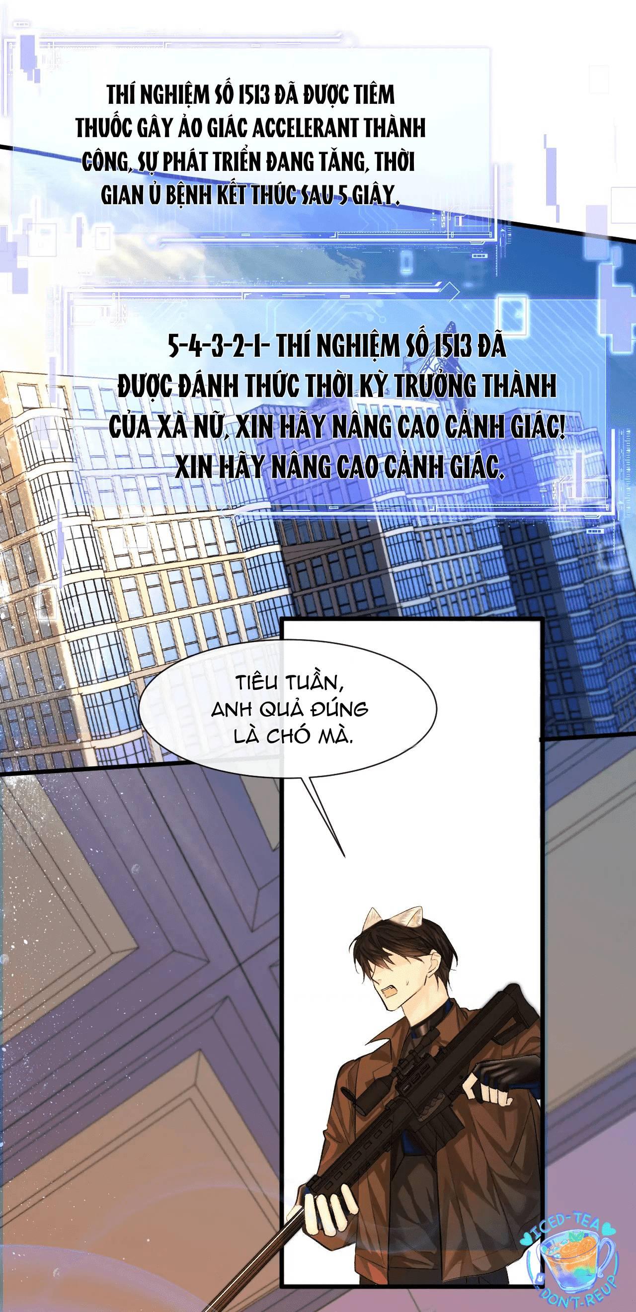 Trang 19