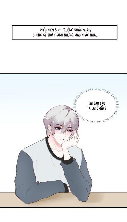 Trang 28