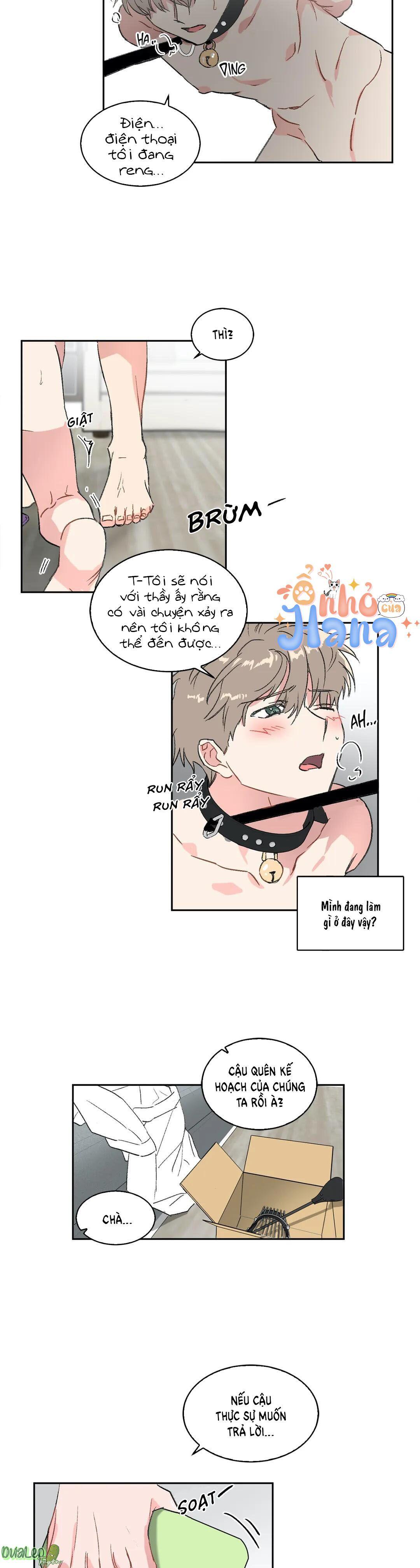 Trang 5