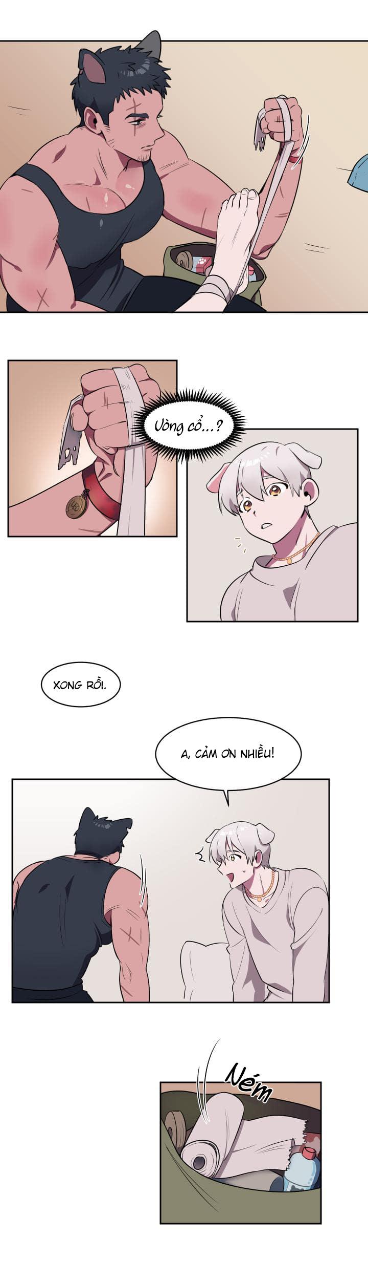 Trang 20