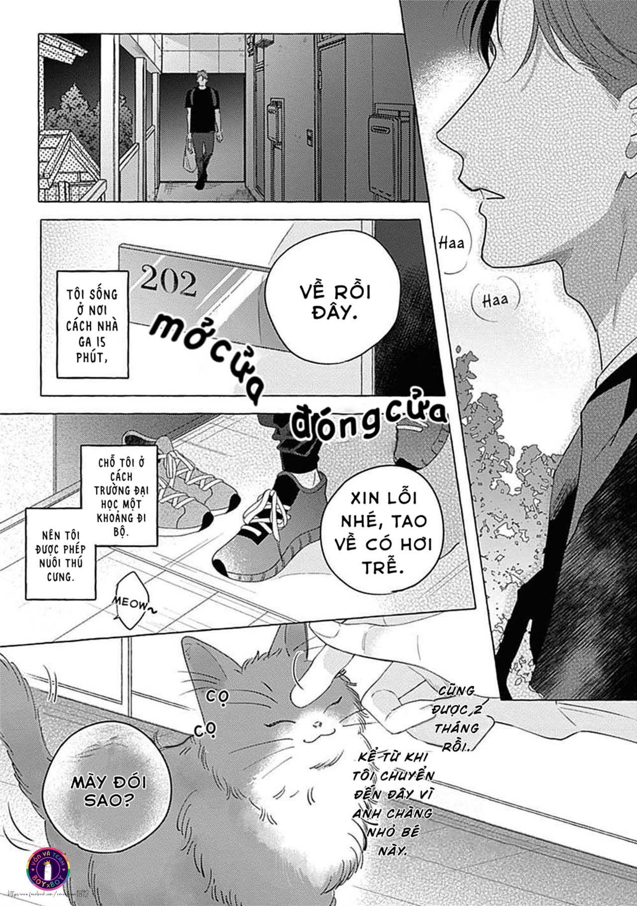 Trang 6
