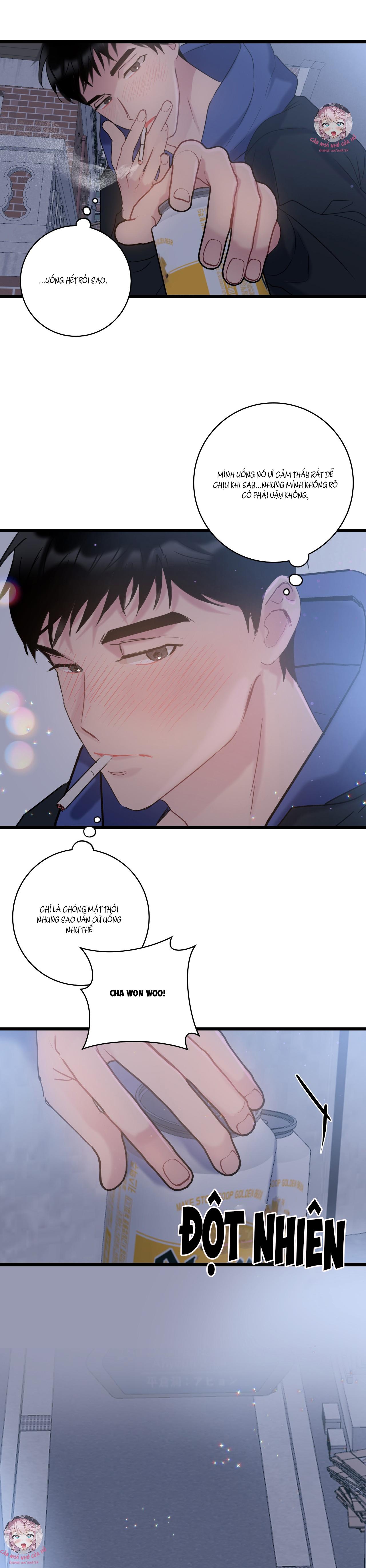 Trang 19