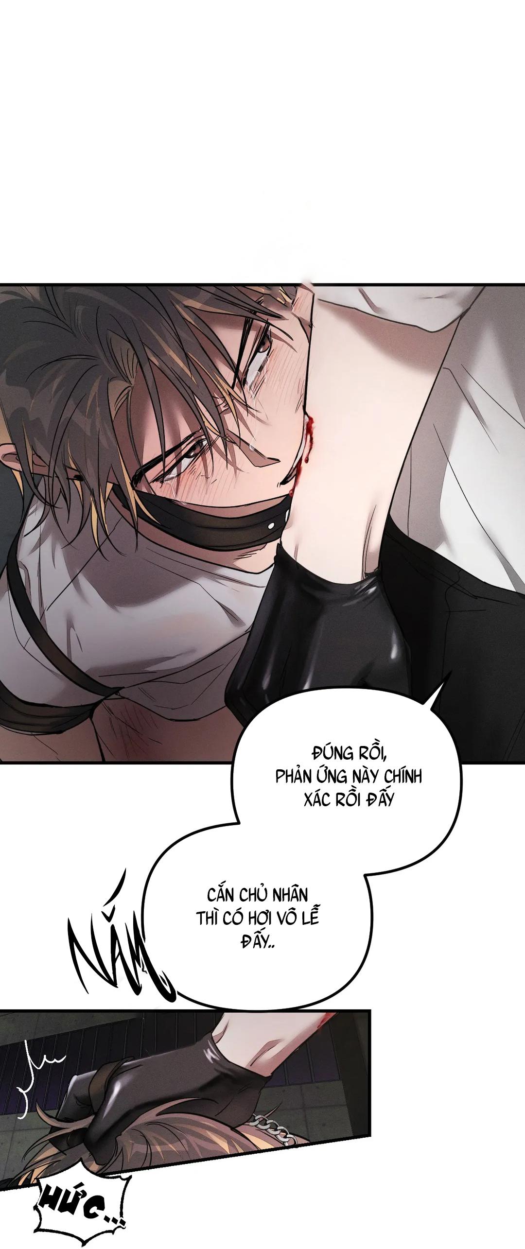 Trang 31