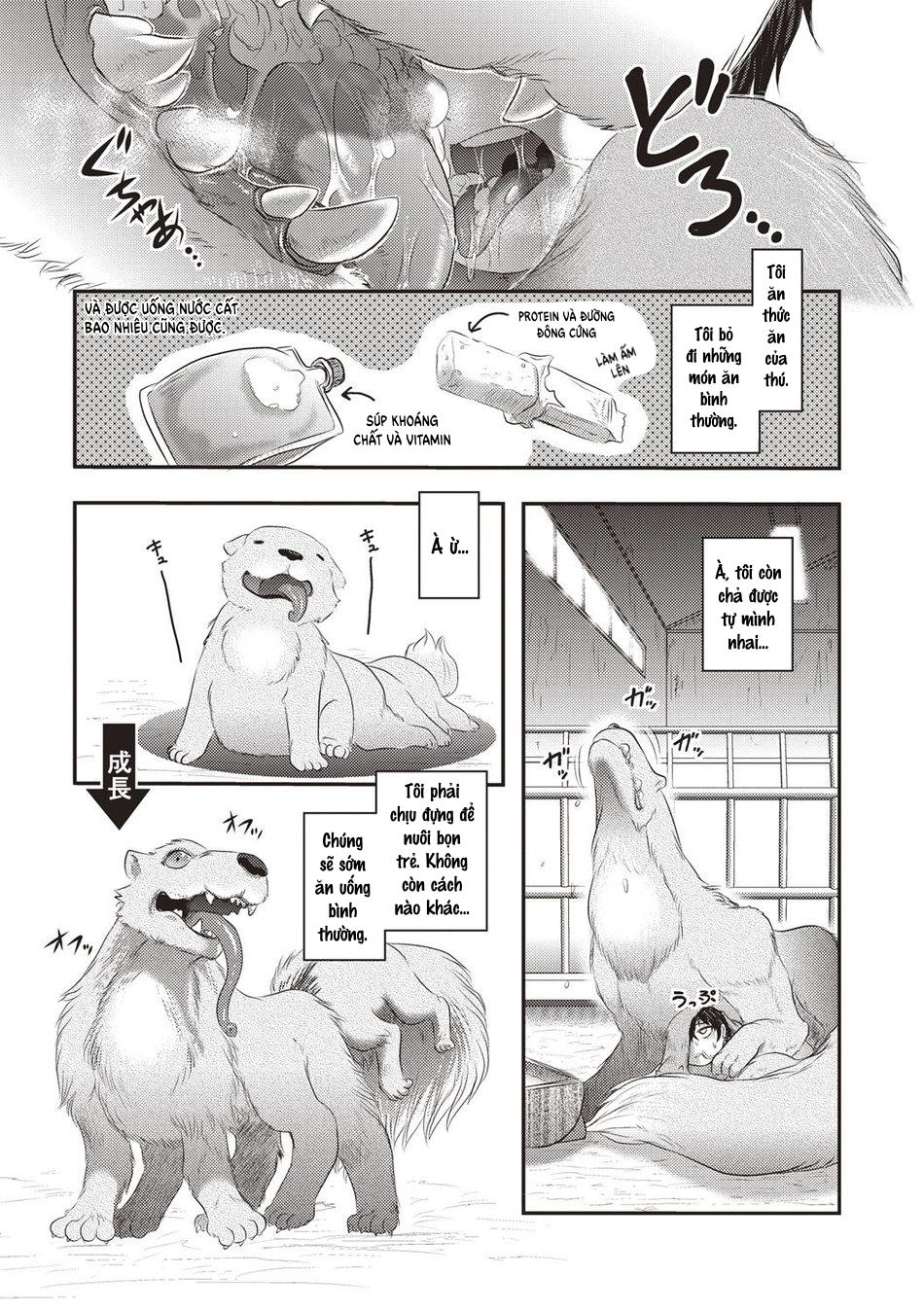 Trang 19