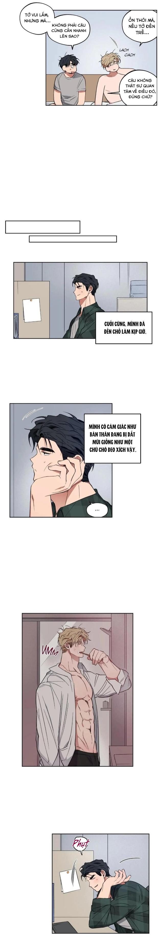 Trang 15