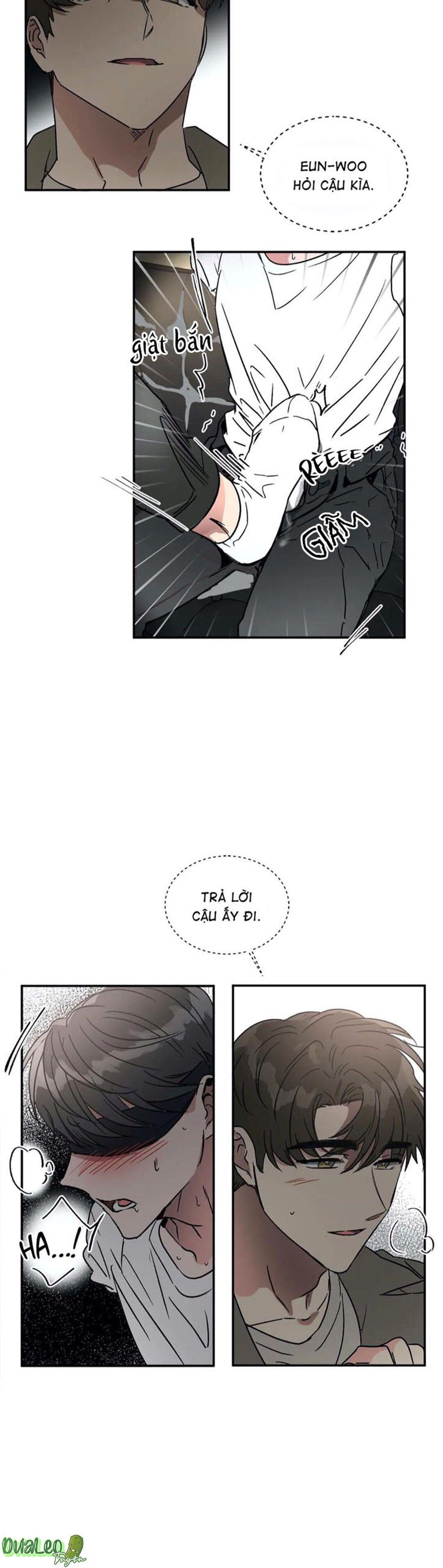 Trang 17