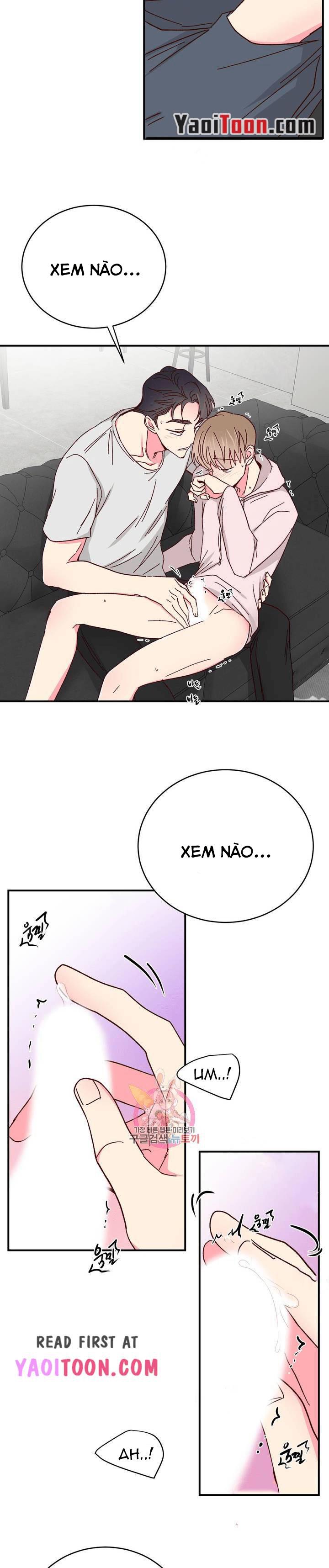 Trang 19