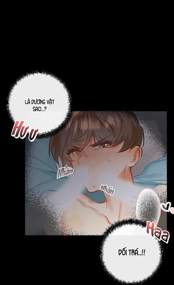 Trang 53
