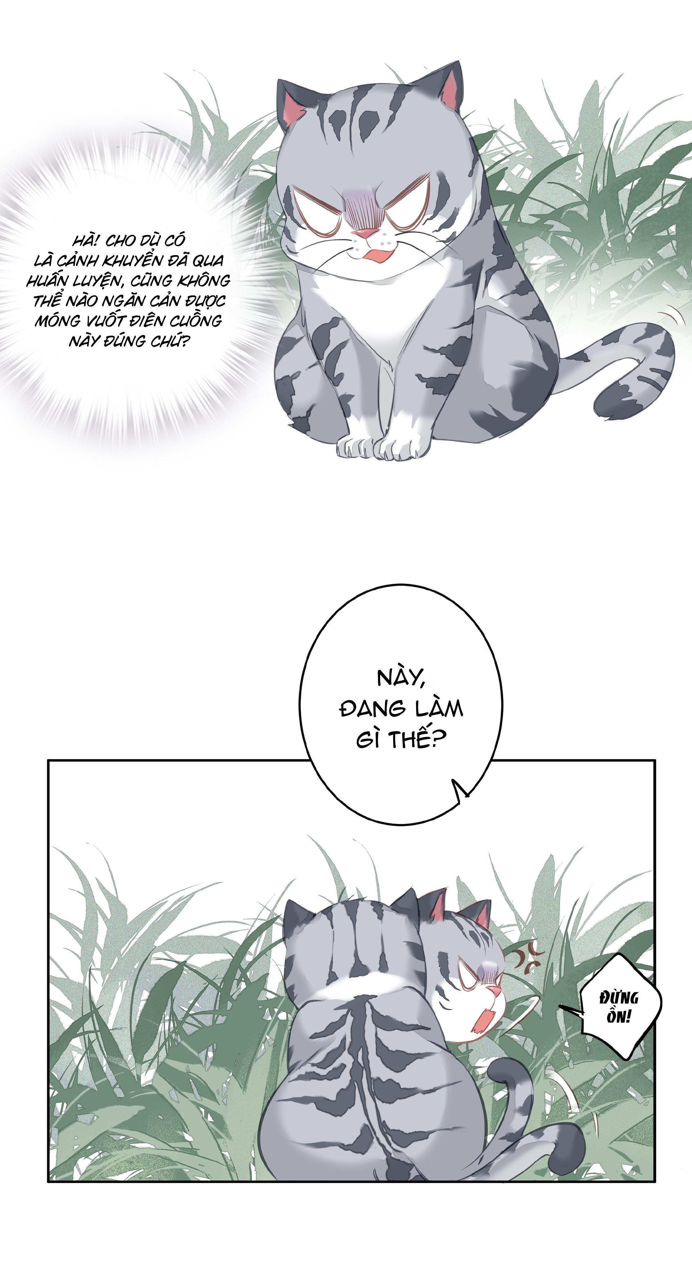 Trang 46