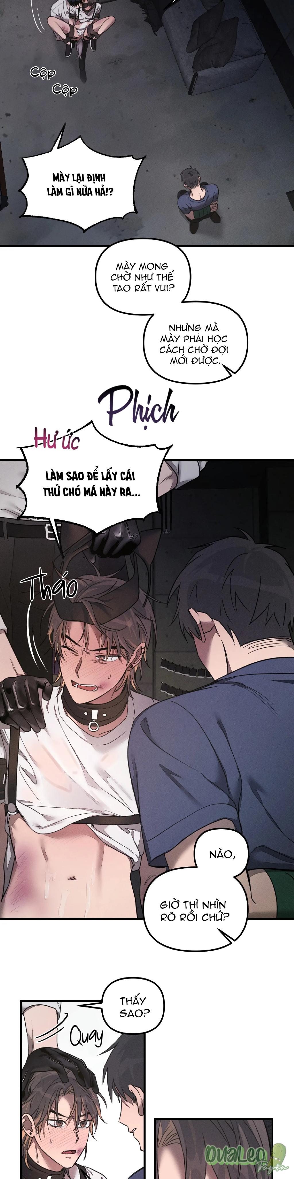 Trang 19