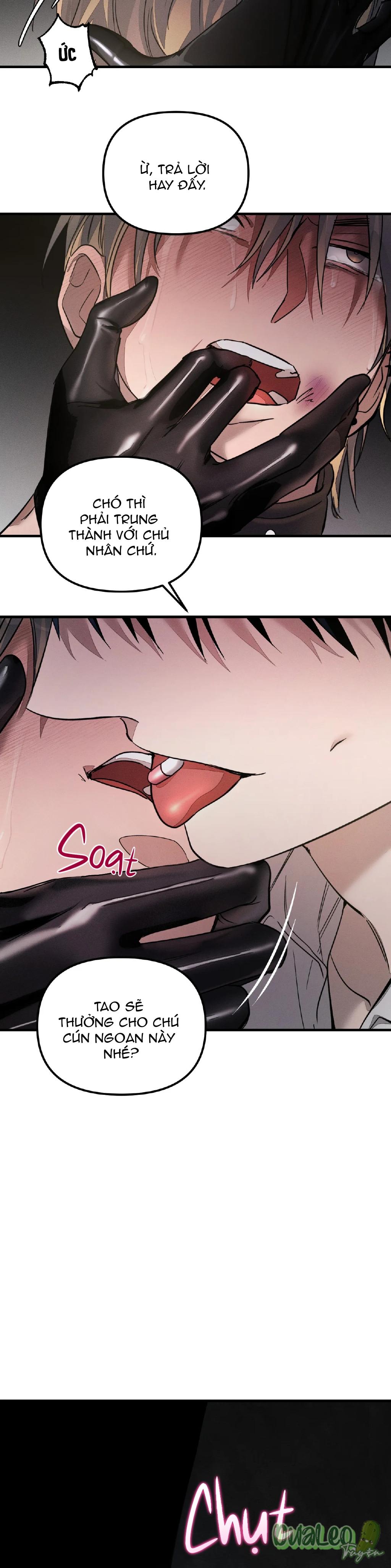 Trang 29