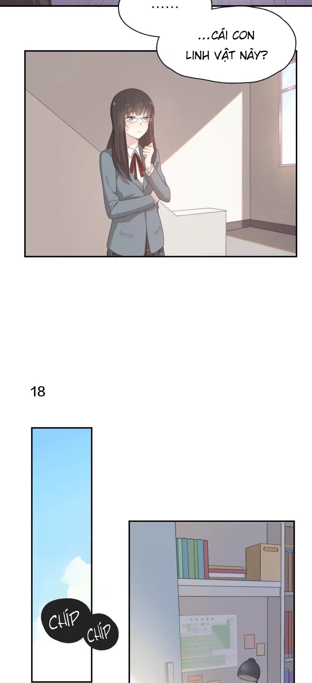 Trang 19