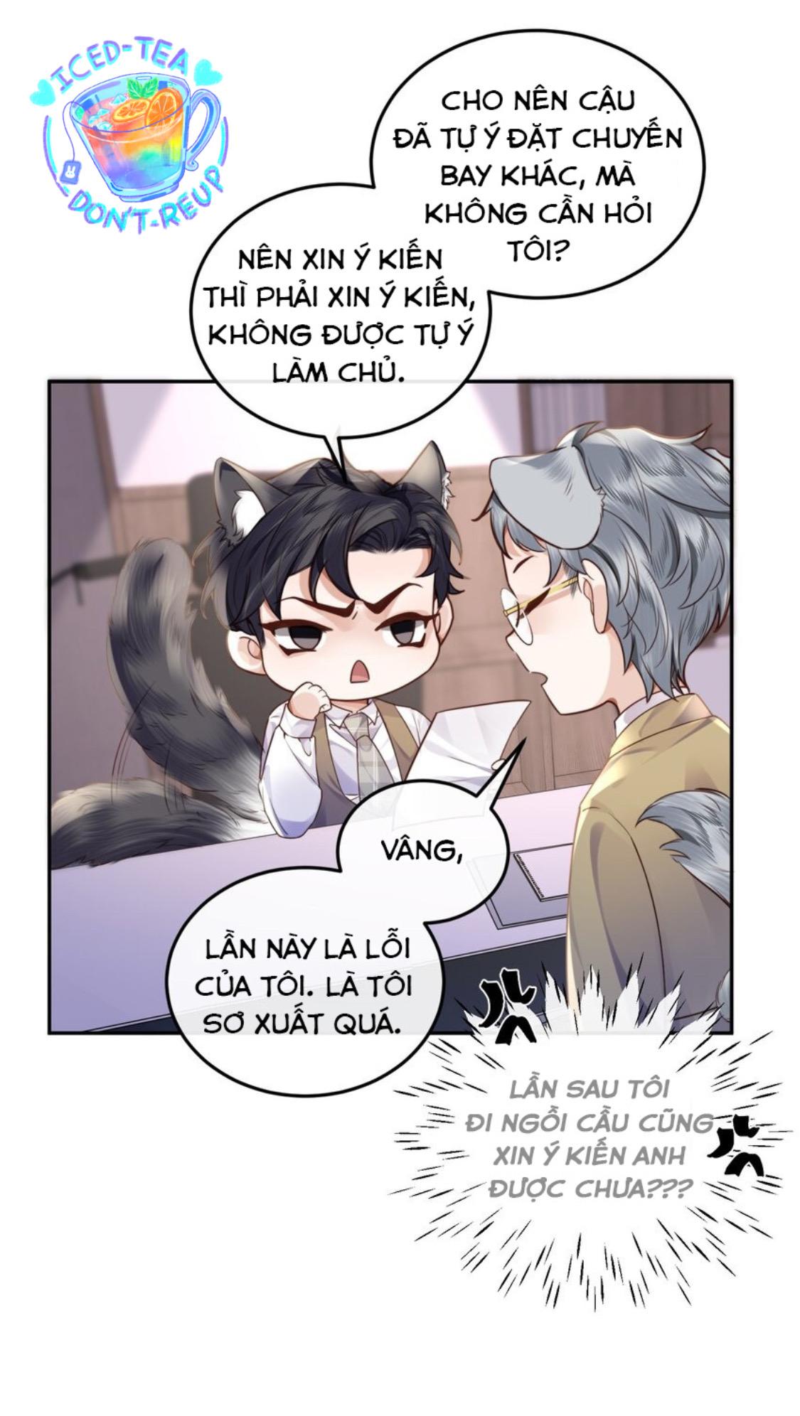 Trang 23