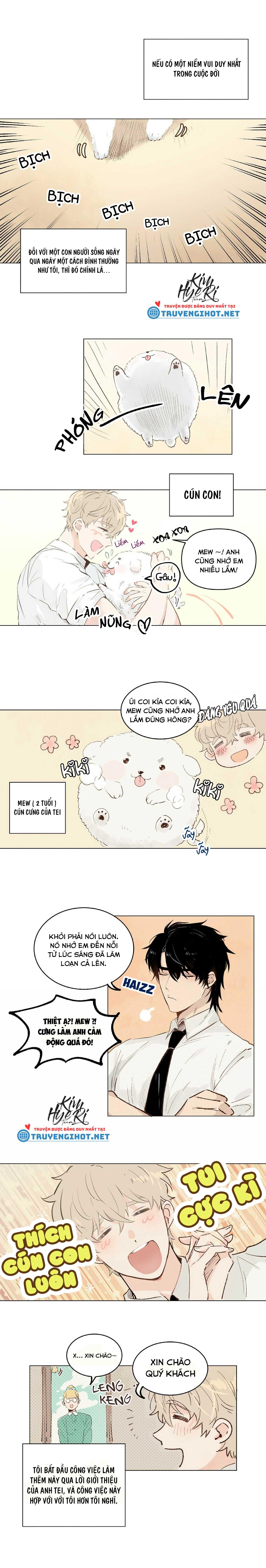 Trang 5