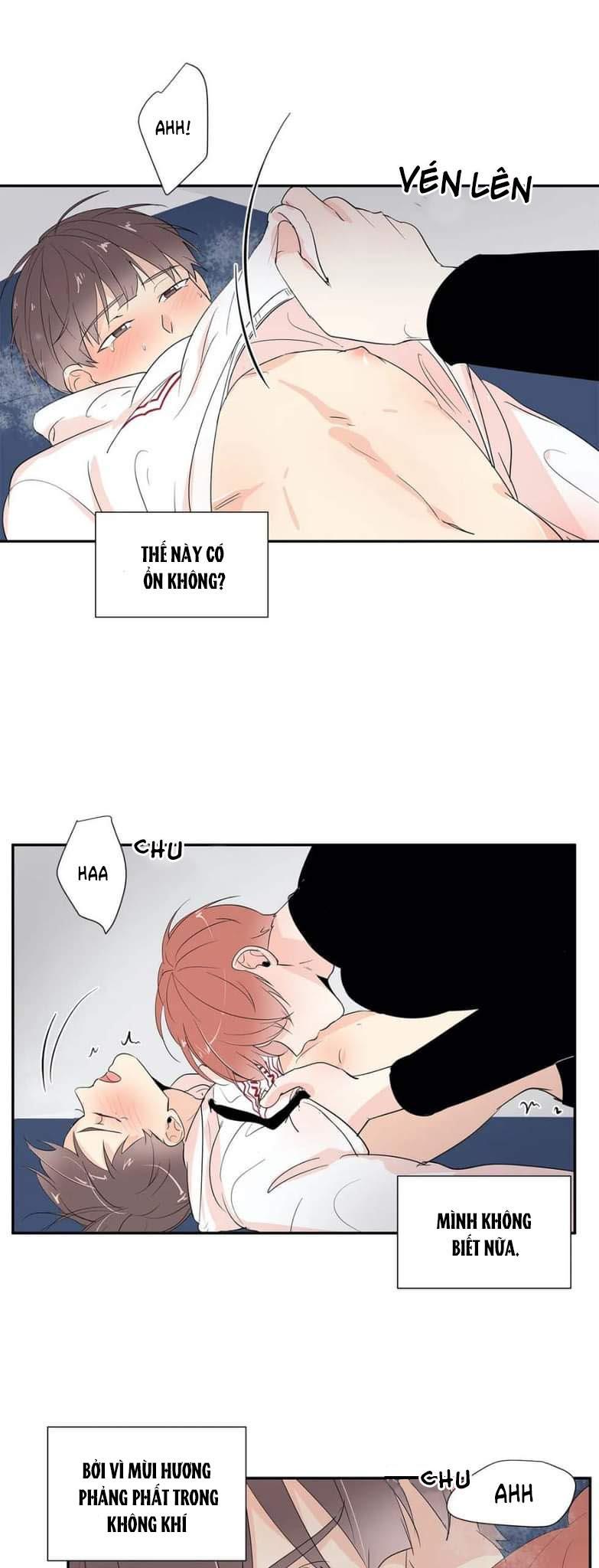 Trang 31