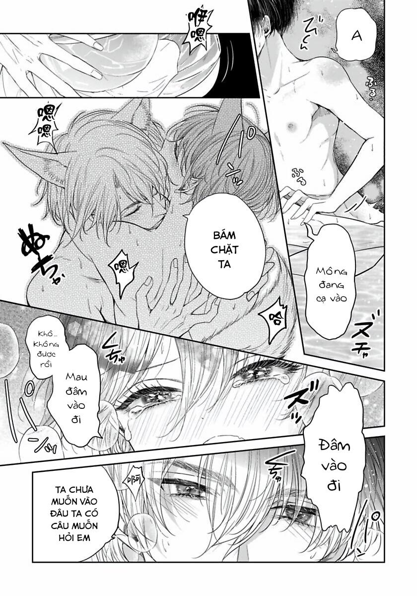 Trang 29