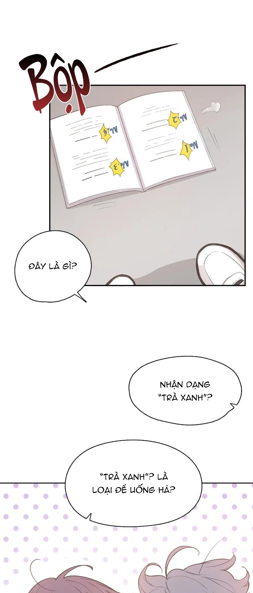 Trang 24