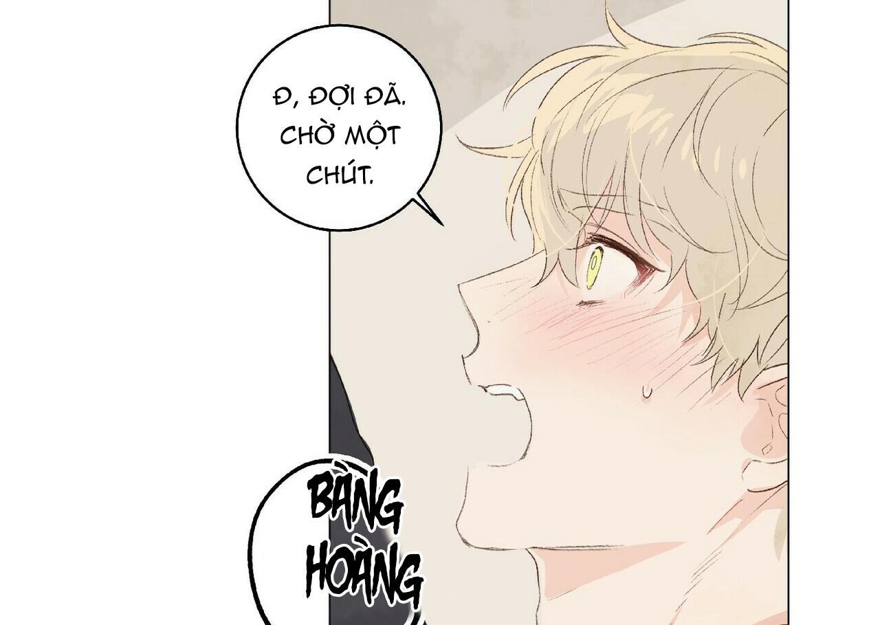 Trang 50